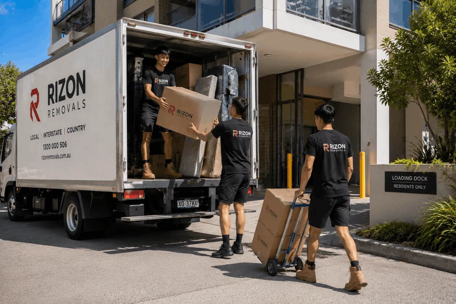 All removals services
